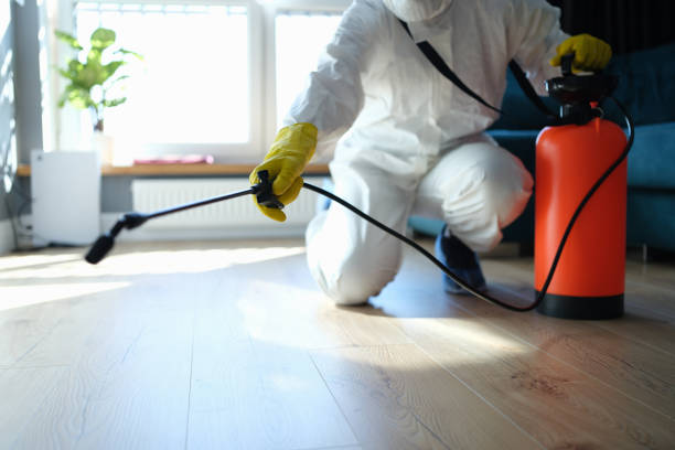 Trusted Sewage Cleanup service in South Vienna, OH - Four Month Blood Cleanse